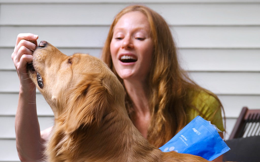 The Best Multivitamin Supplements for Dogs: A Comprehensive Review